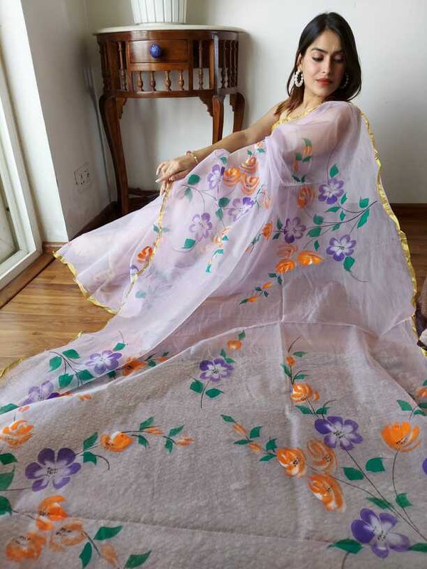 Hand Painted saris in Organza silk, with Blouse