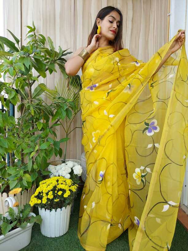 Hand Painted saris in Organza silk, with Blouse