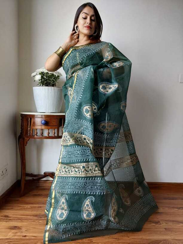 Hand Painted saris in Organza silk, with Blouse